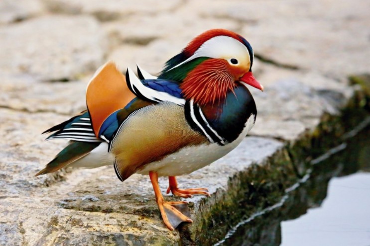 [Евгения Мельникова] Скетчи разными материалами (2_0.jpg